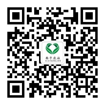 qrcode_for_gh_f4015e547caa_344.jpg